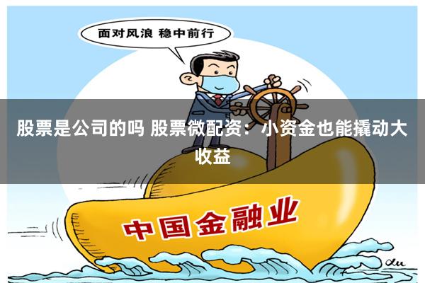 股票是公司的吗 股票微配资：小资金也能撬动大收益